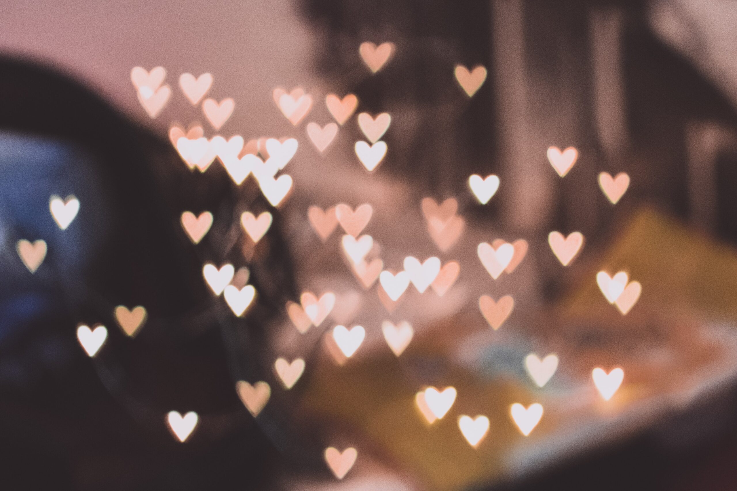 freestocks-r_oV6smBBYk-unsplash