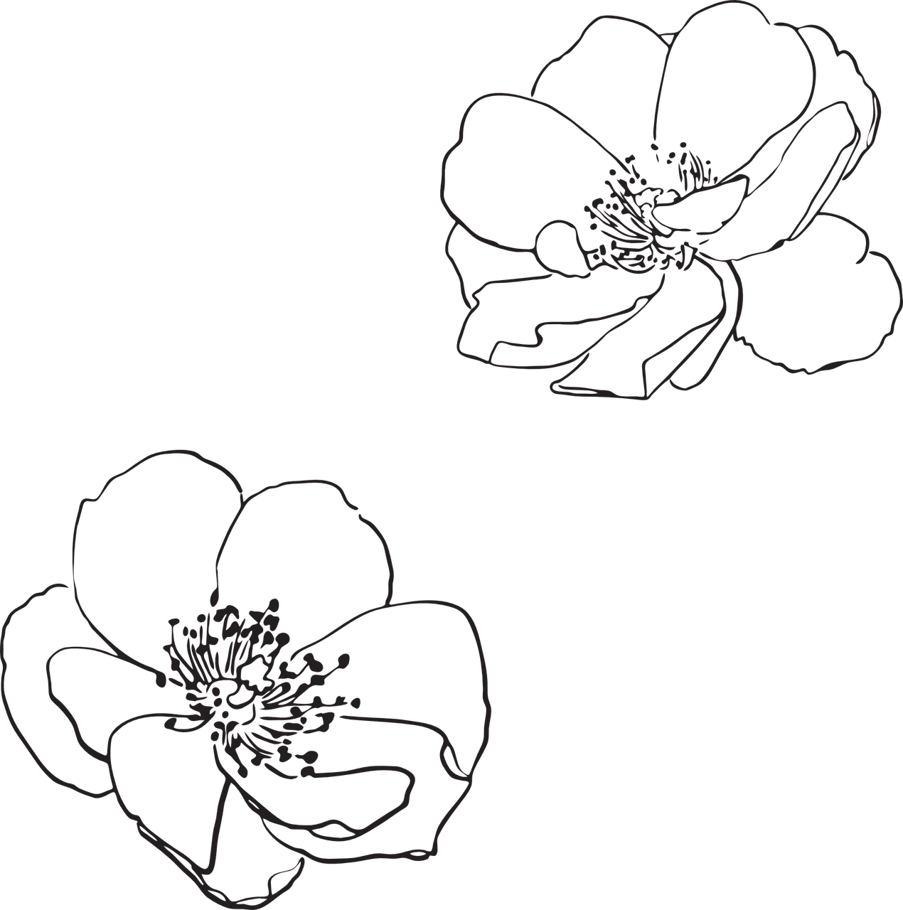 rose-g5936c327b_1280