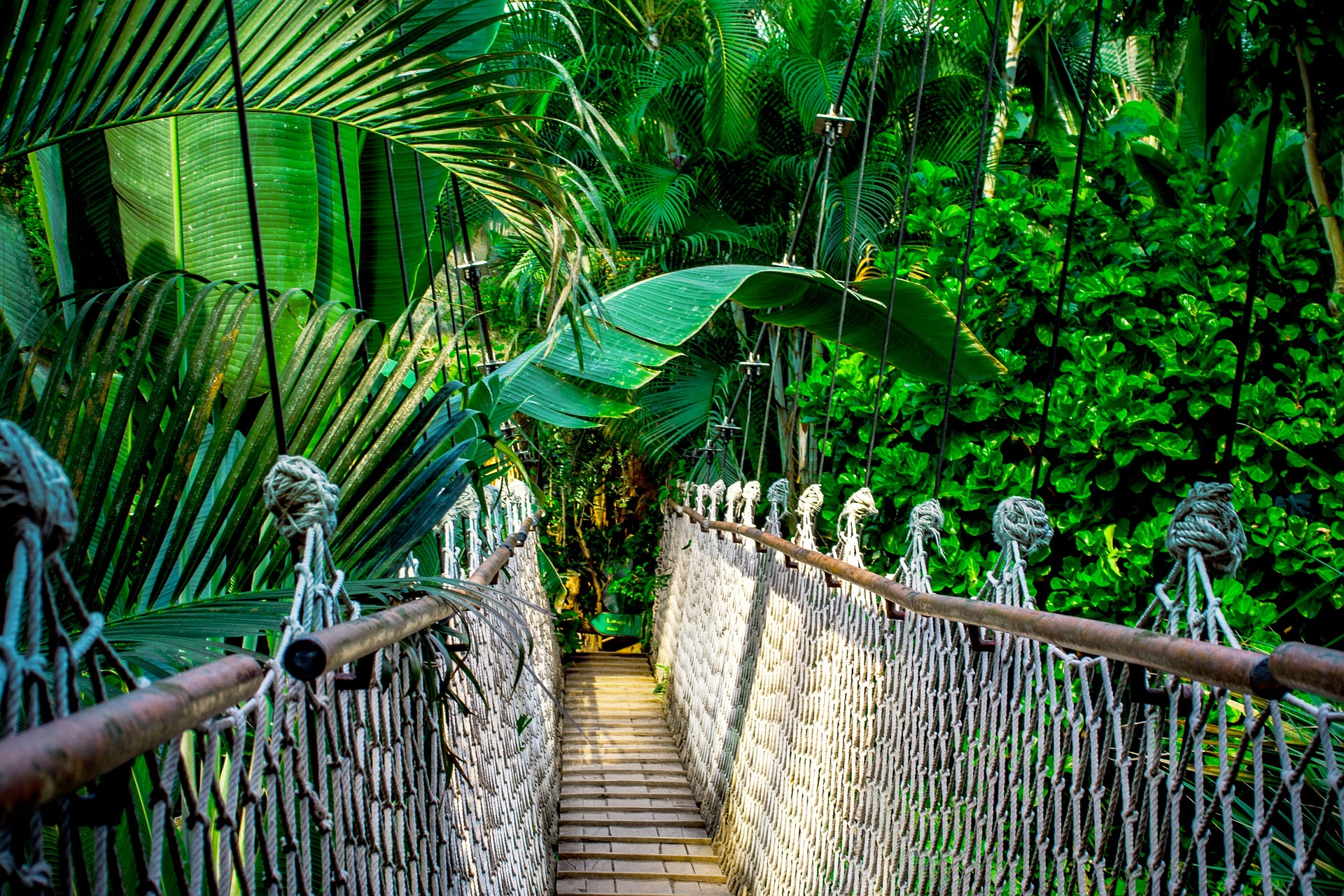 suspension-bridge-gcd497b8fd_1920