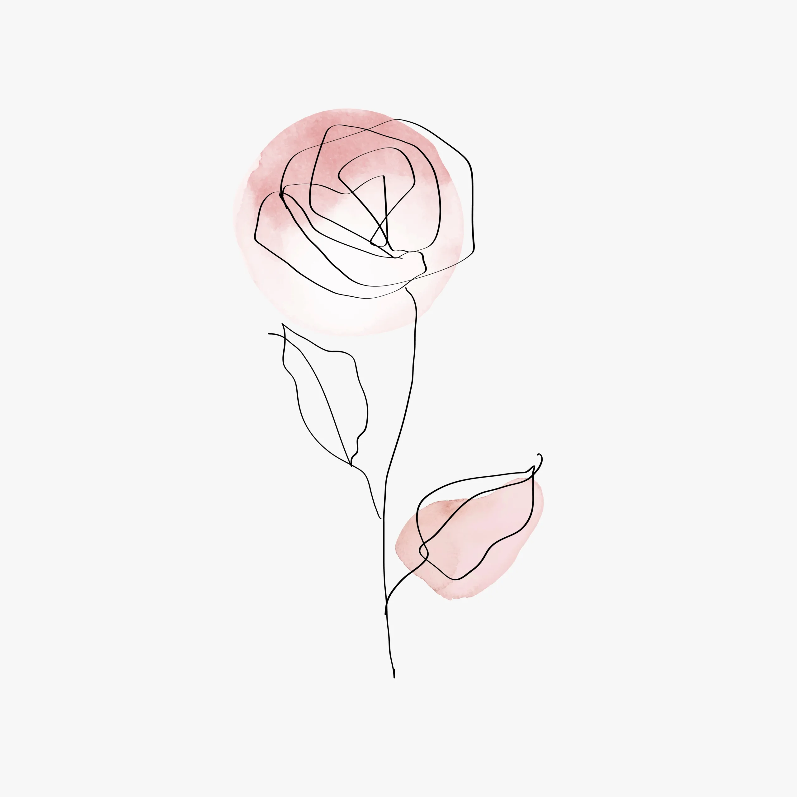Rose flower vector line art minimal pink pastel illustration